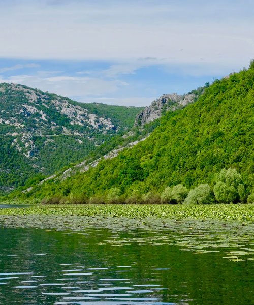 جنسية الجبل الاسود - مونتينيغرو