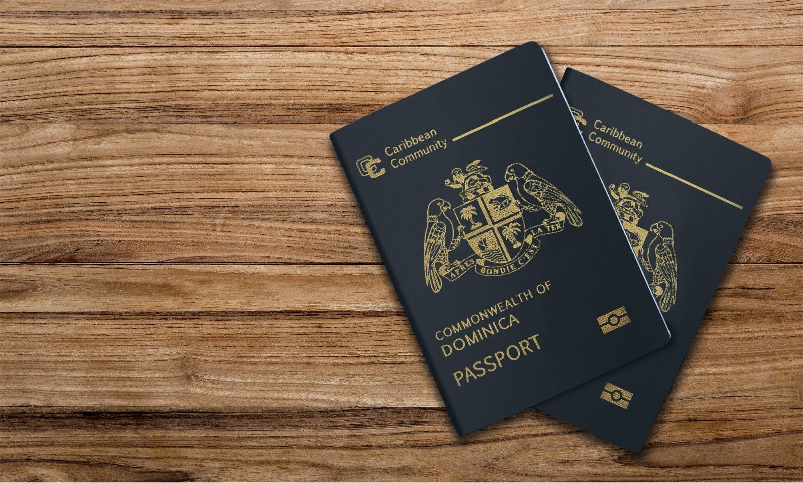 The Power of Dominica Passport