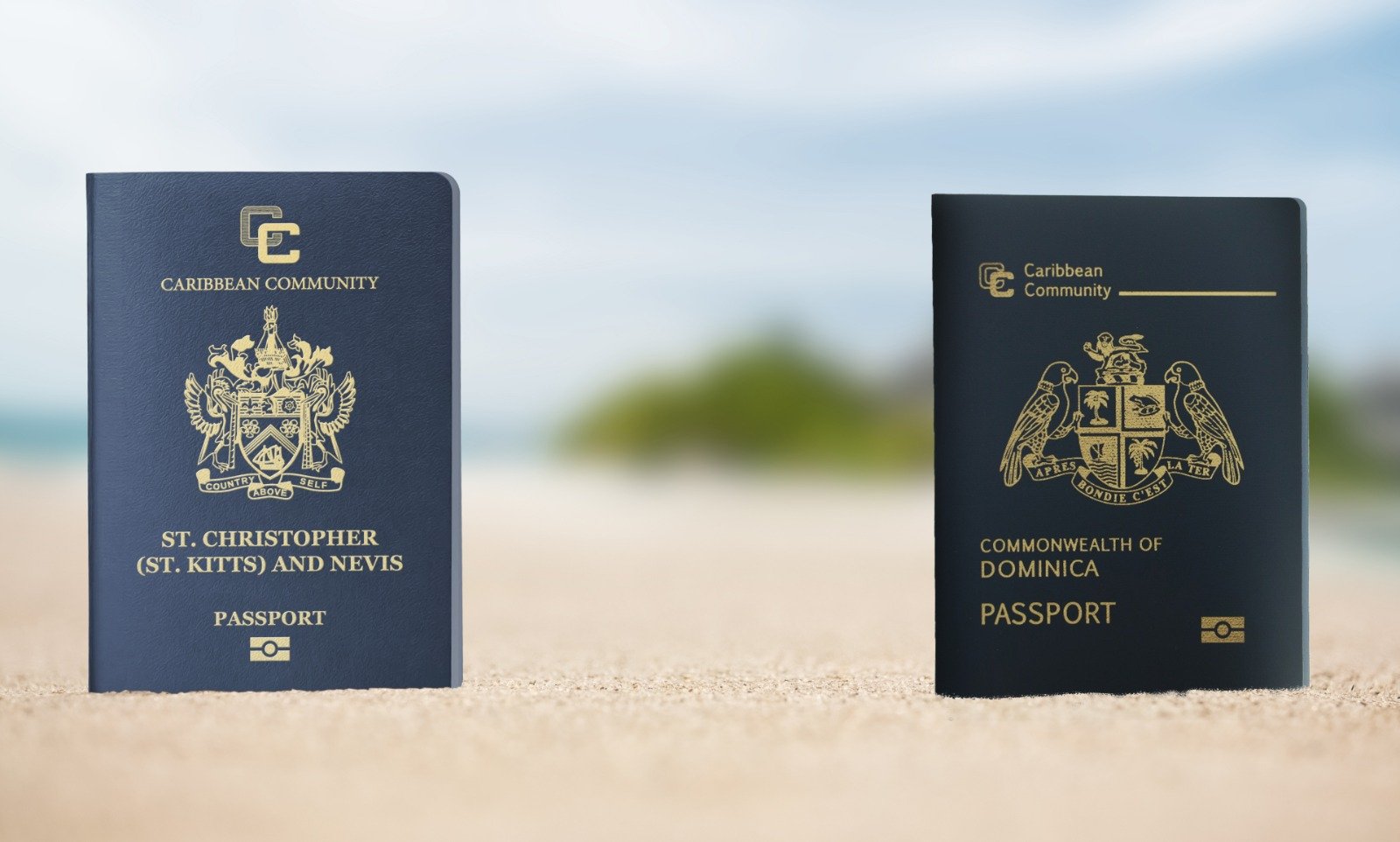 La Dominique et Saint-Kitts-et-Nevis se classent désormais au premier rang des programmes de citoyenneté par investissement sur le marché
